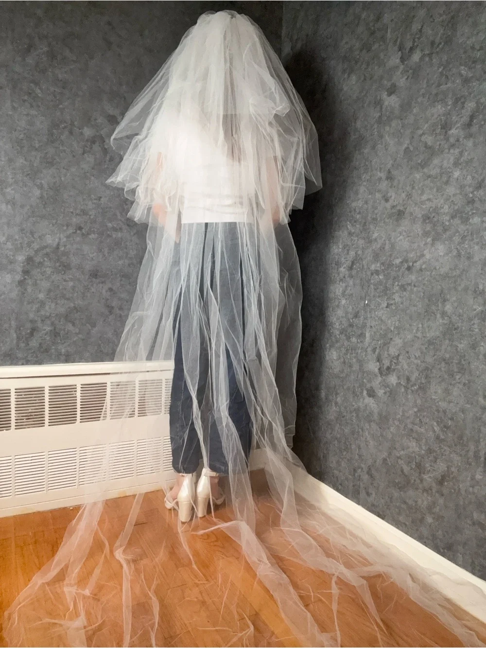 Vintage Priscilla of Boston Cathedral Veil with Blusher — Excellent Condition